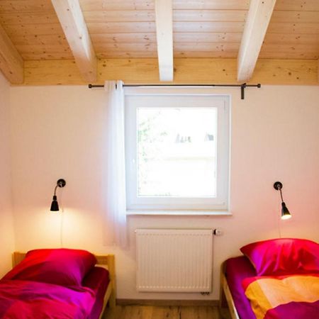 Appartment Vogel Ferienwohnungen 齐恩多夫 外观 照片