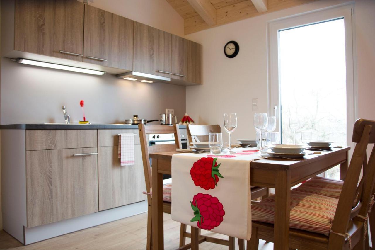 Appartment Vogel Ferienwohnungen 齐恩多夫 外观 照片