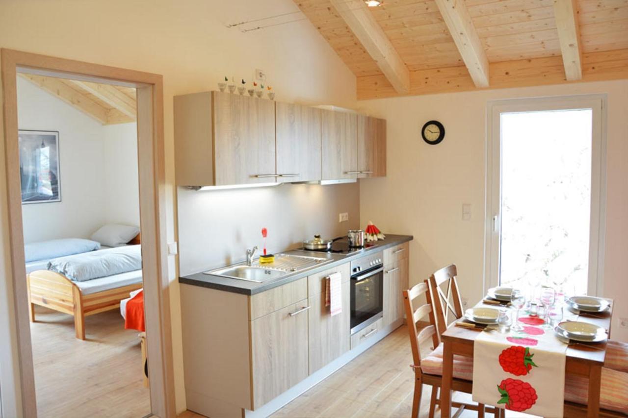 Appartment Vogel Ferienwohnungen 齐恩多夫 外观 照片